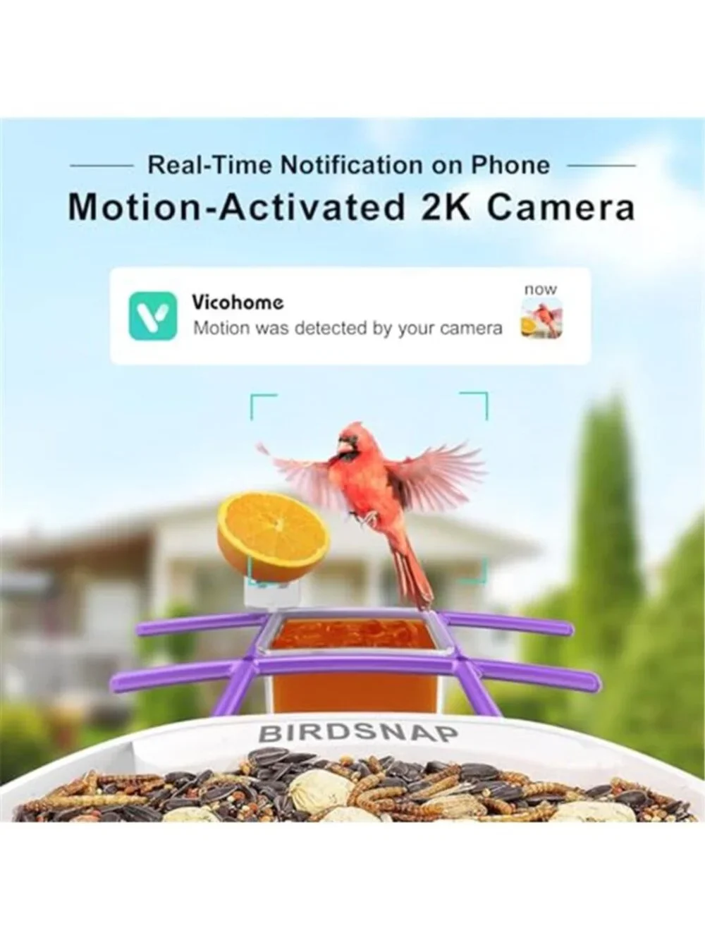 New TUC Bird Feeder with Camera 2K HD Live with 32GB Card Auto Detect